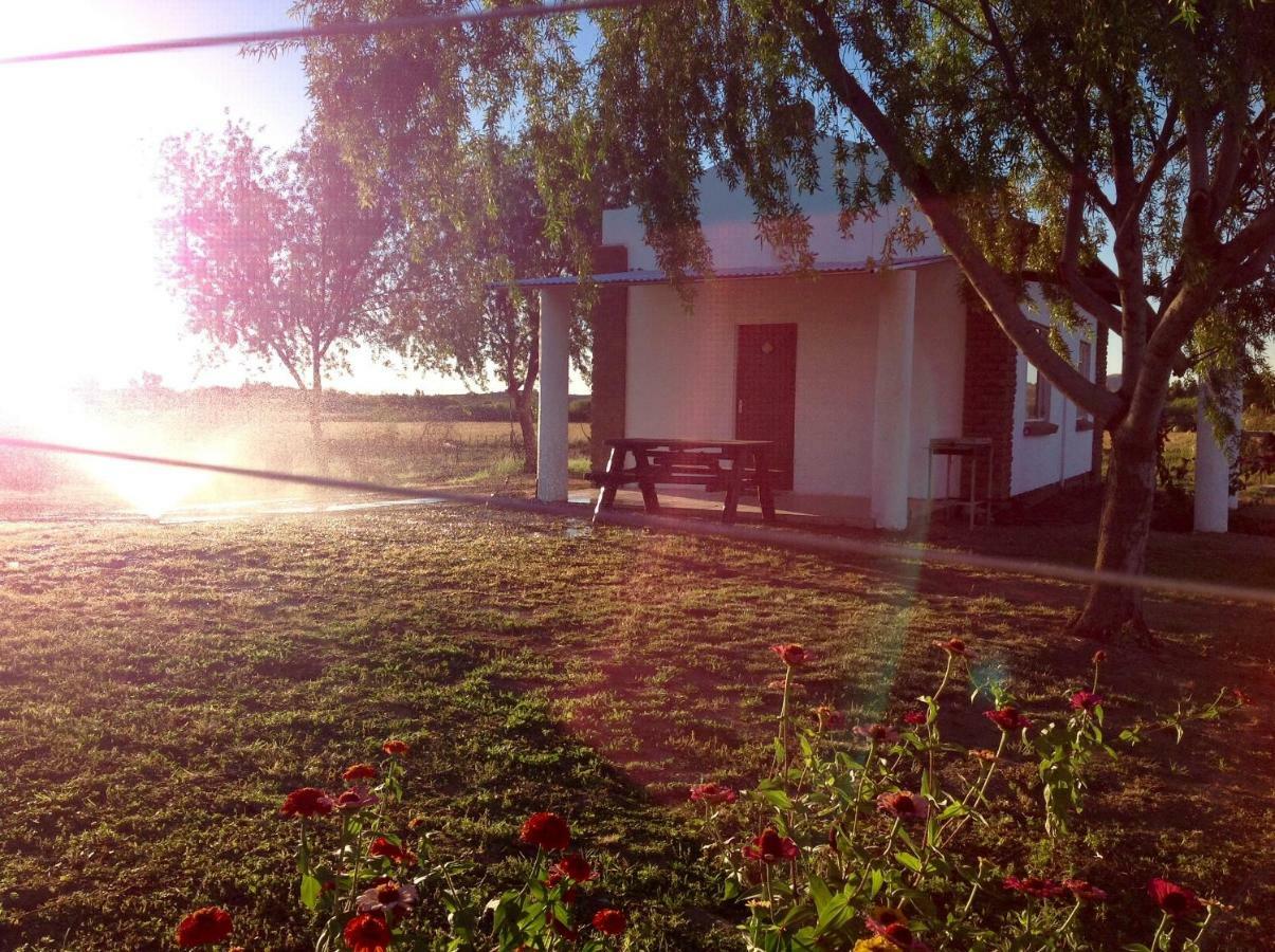Ditsem Guest Farm Upington Bagian luar foto